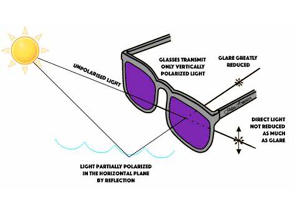 How Do Polarizing Sunglasses Work?