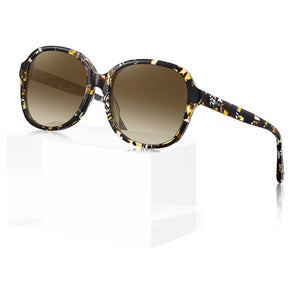 Matthew-Radiant Tortoise-CA2024