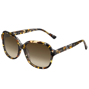 Matthew-Radiant Tortoise-CA2024