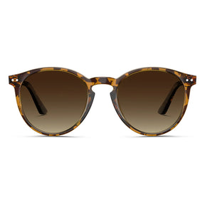 Duncan-Chestnut Dream-CA508