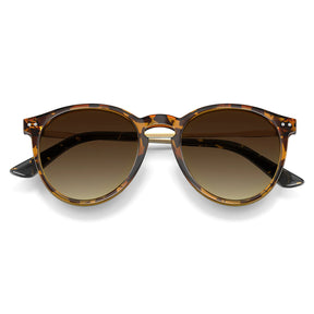 Duncan-Chestnut Dream-CA508