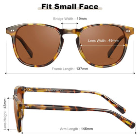 Creston-Tortoise Brew-CA5285