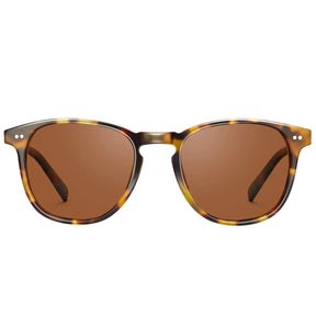 Creston-Tortoise Brew-CA5285