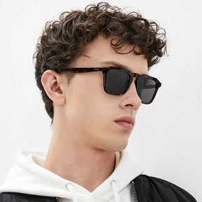 Albany-Bold Statement-CA5352