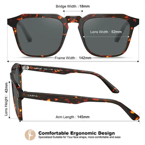 Albany-Bold Statement-CA5352