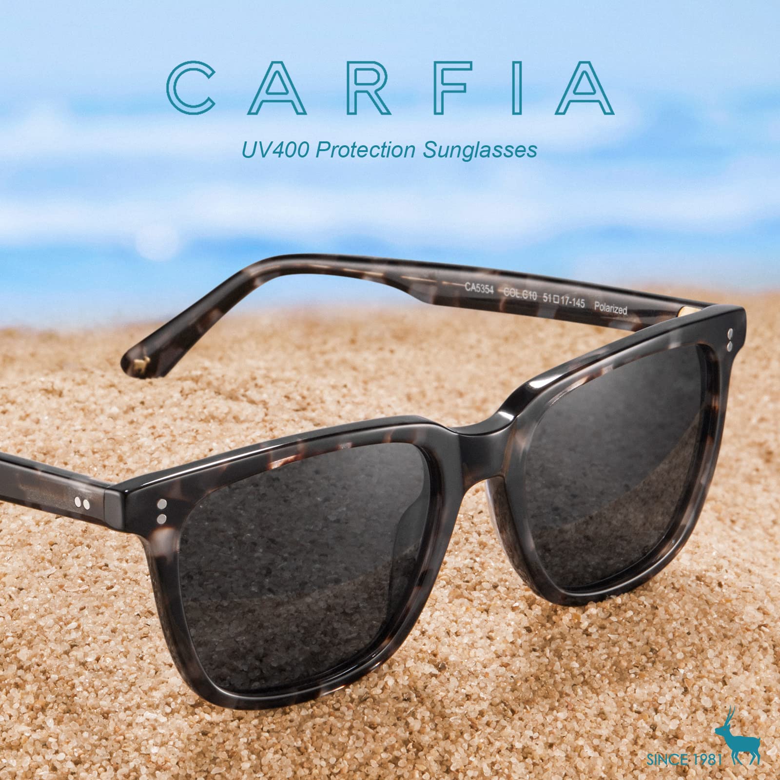 Carfia Kenosha L10 Grey Tortoise Frame Grey Lens Acetate Eyeglasses details View