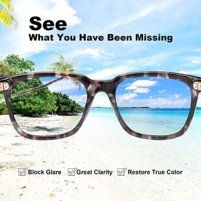 Rectangular eyeglasses with a tortoiseshell frame and clear lenses shown over a beach scene, with text reading 'See What You Have Been Missing' and feature callouts about block glare, clarity, and true color.