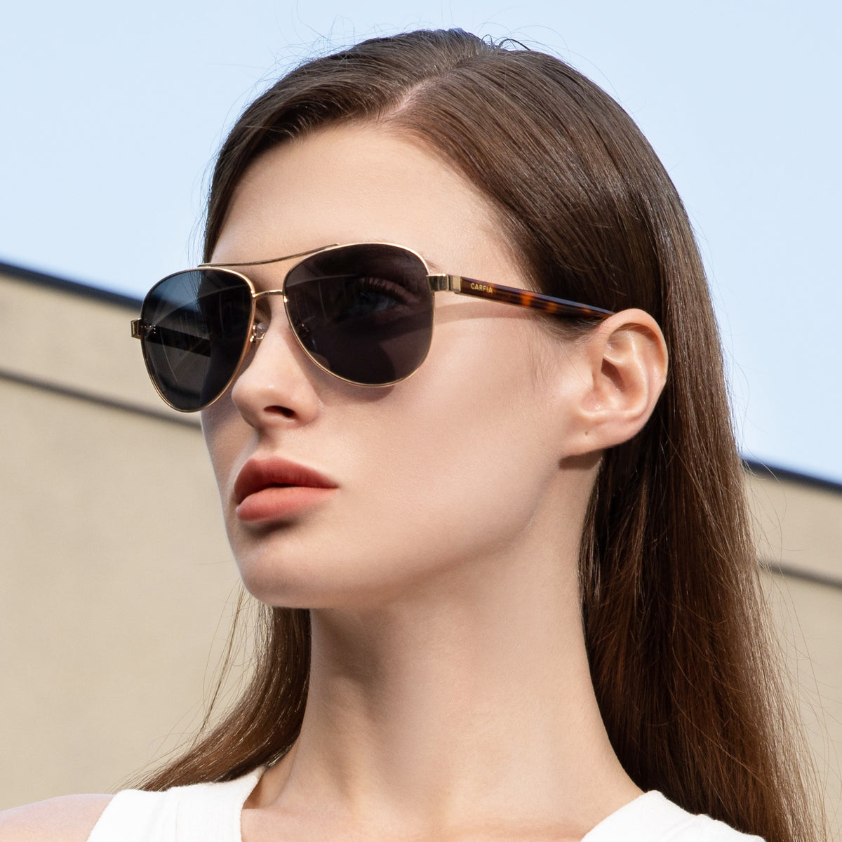 Poptart-Classic-CA3216S