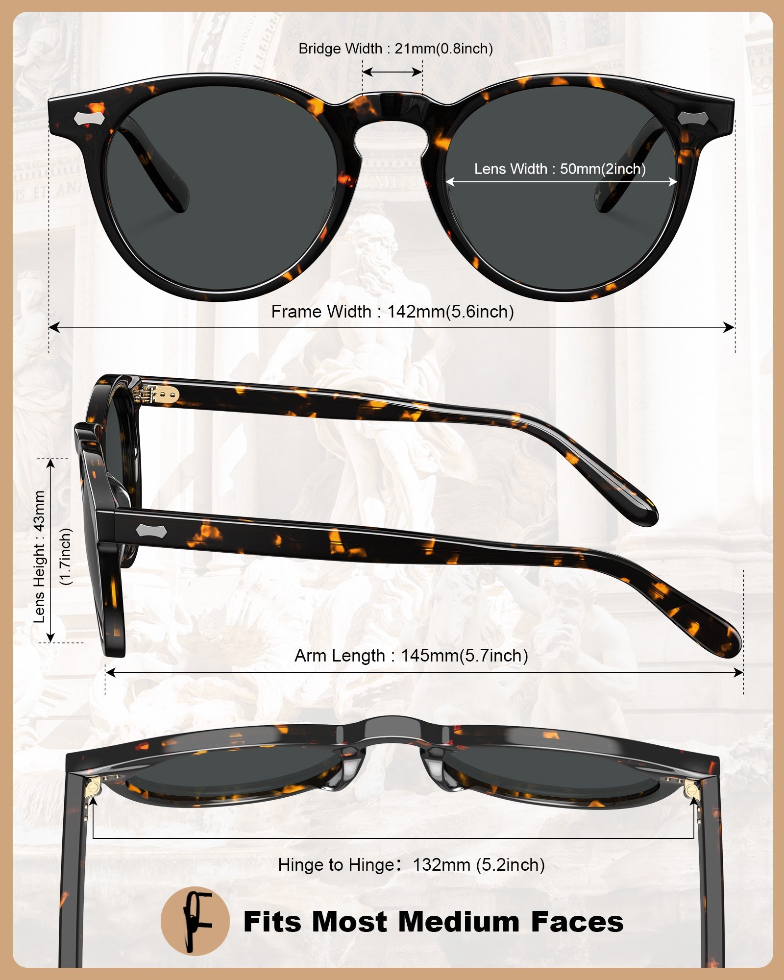 Carfia Dublin CA5506-C14 Tortoise Acetate Round Polarized Sunglasses for Men, Size Chart