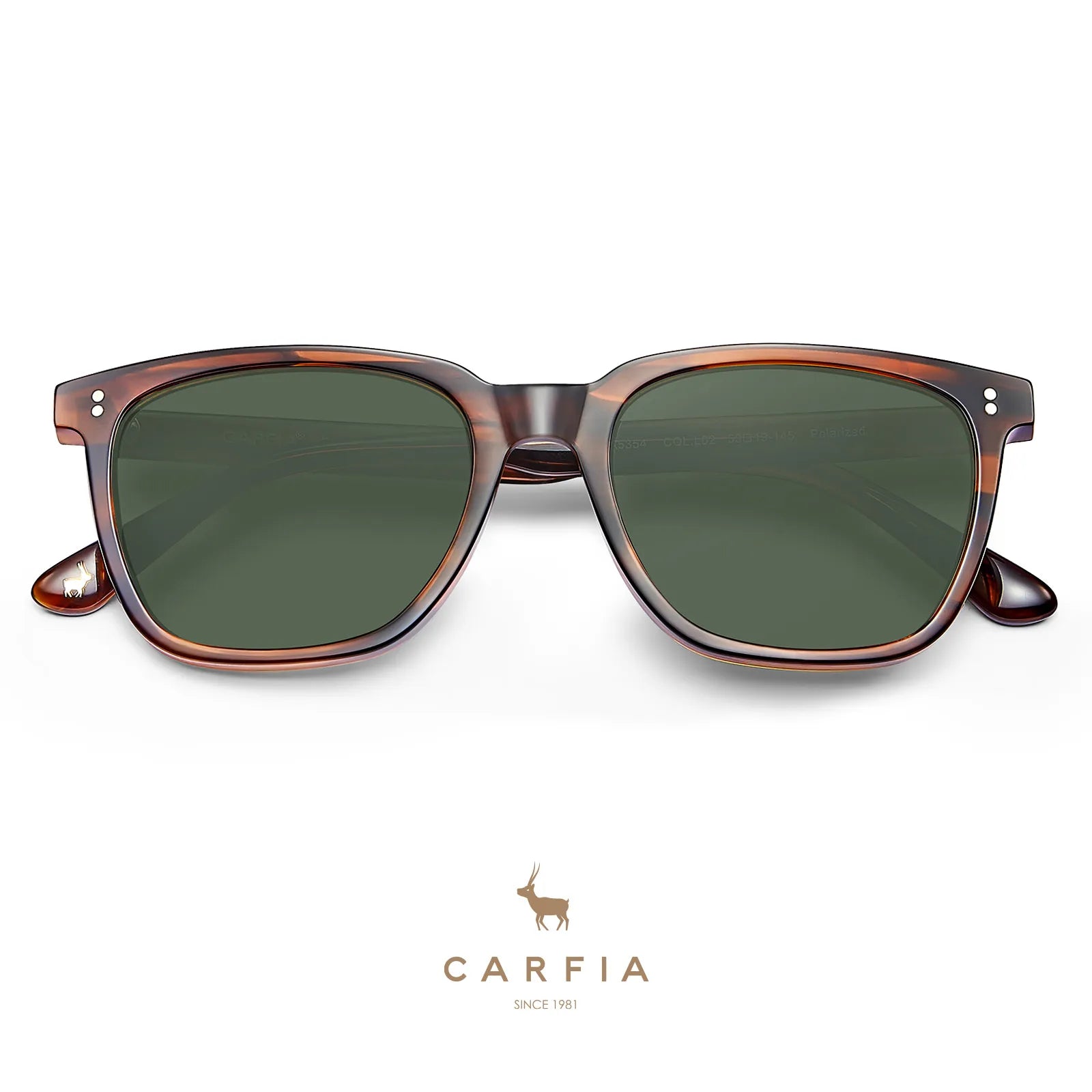 Carfia Kenosha CA5354L02 Brown Striped Acetate Square Polarized Sunglasses for Men, Folded View
