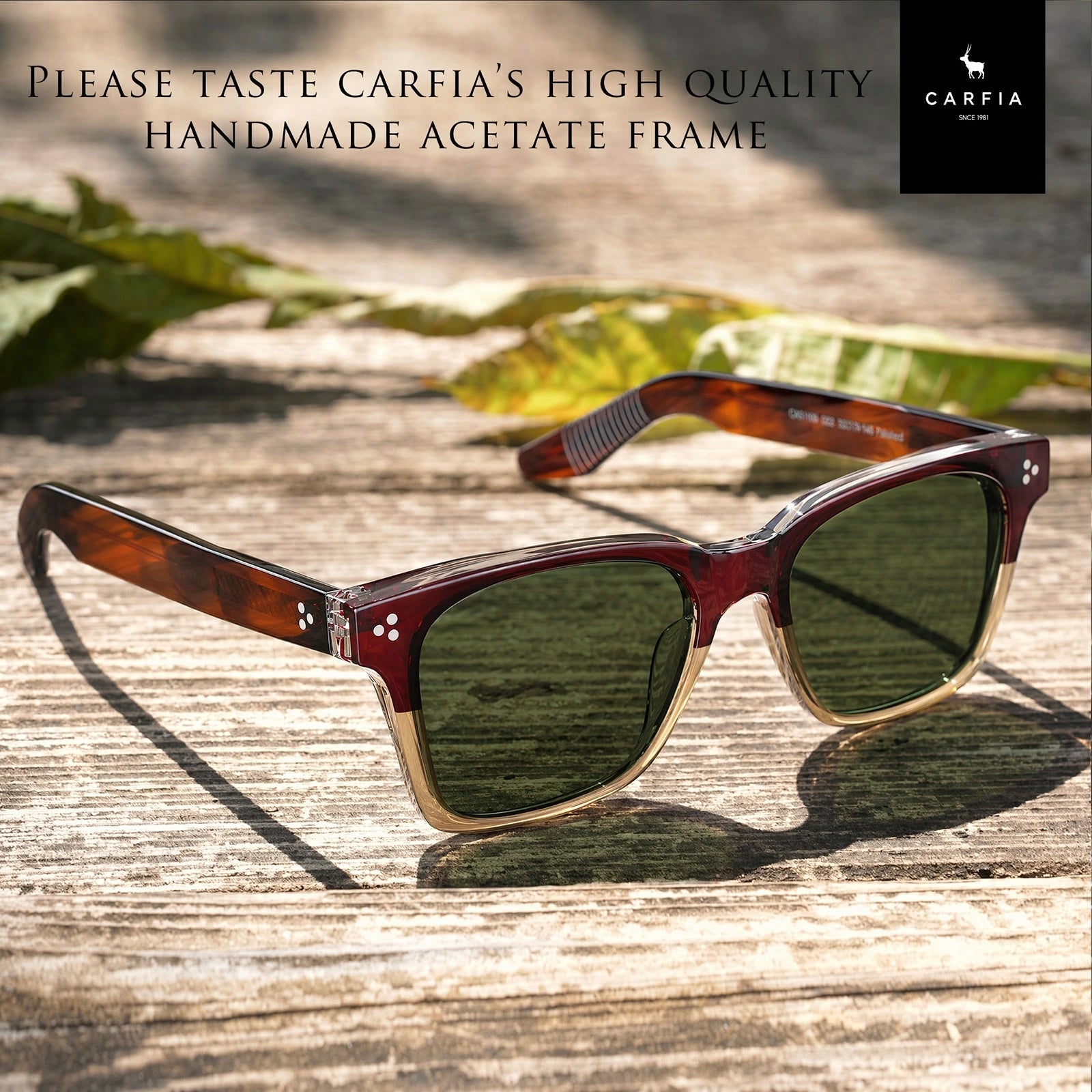 Carfia Simba CA31109-C02 Wine Red Champagne Acetate Square Polarized Sunglasses for Men, Lifestyle View