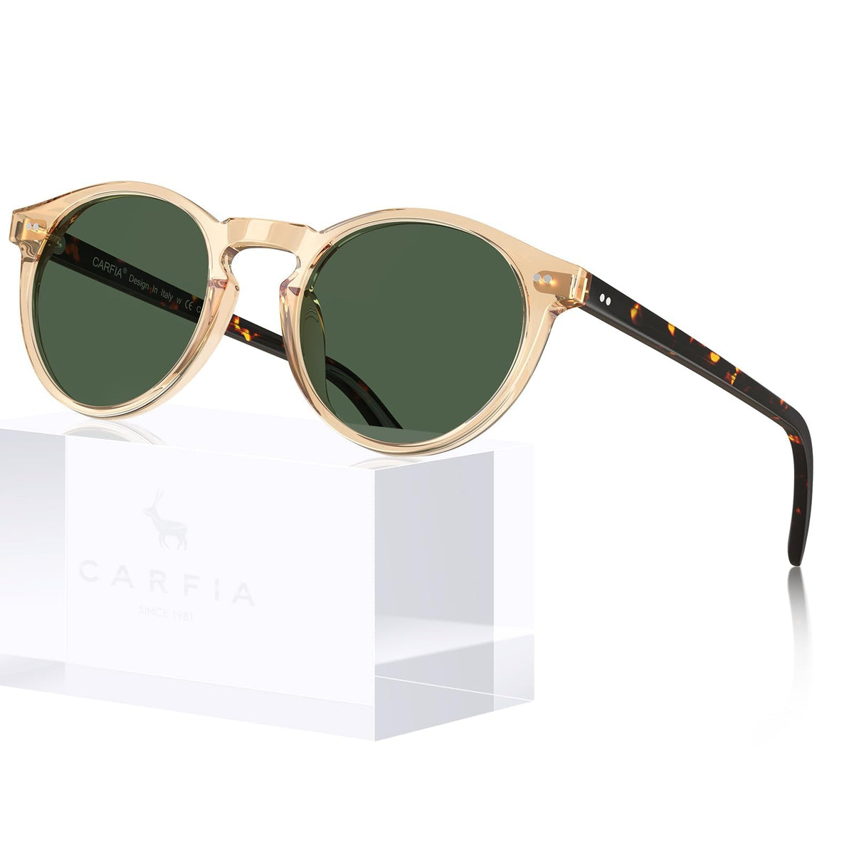 Olivier-Rue Tortoise Polarized-CA5289