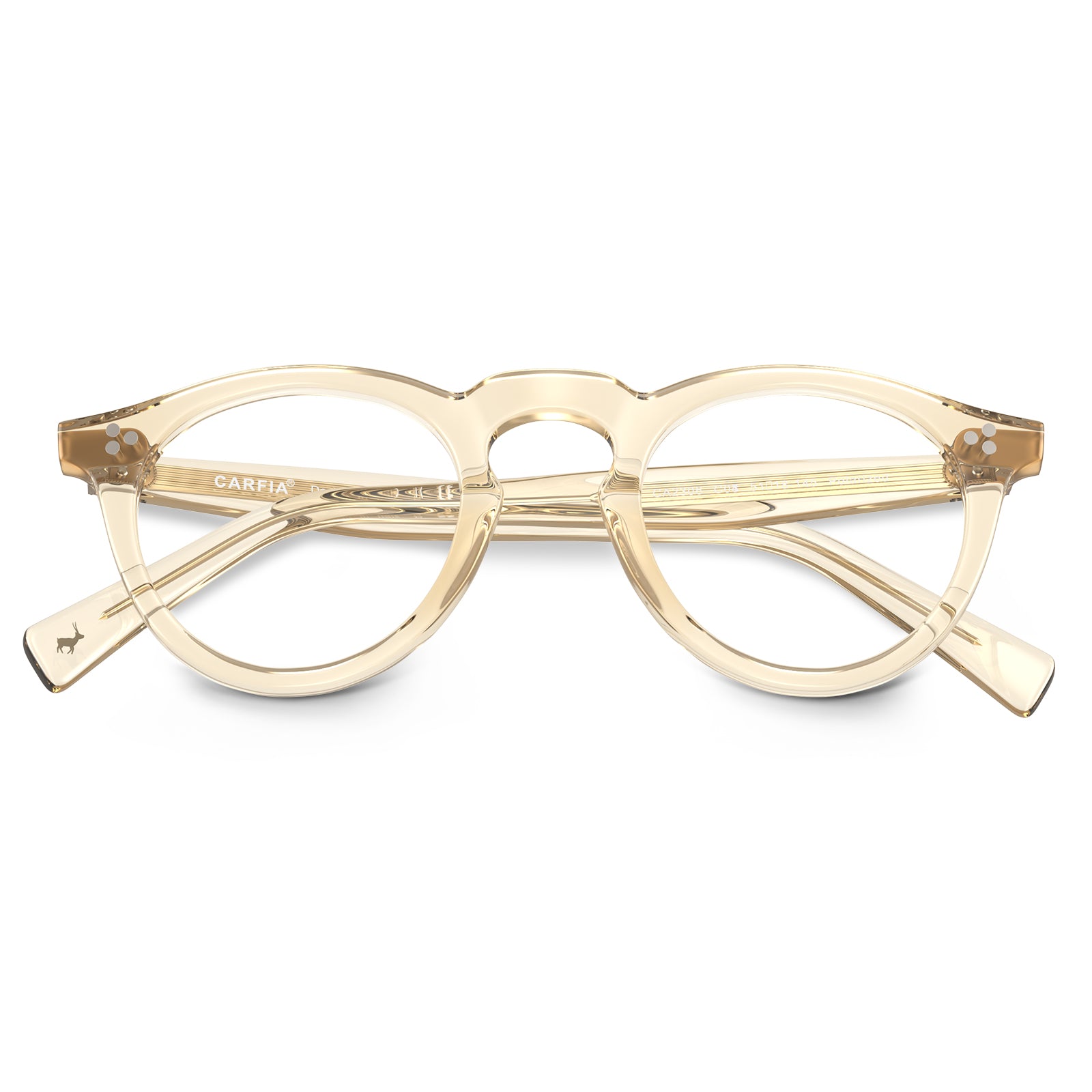  round acetate eyeglasses Mesa CA2306-FC05 with metal rivet details Italian design prescription frames flod