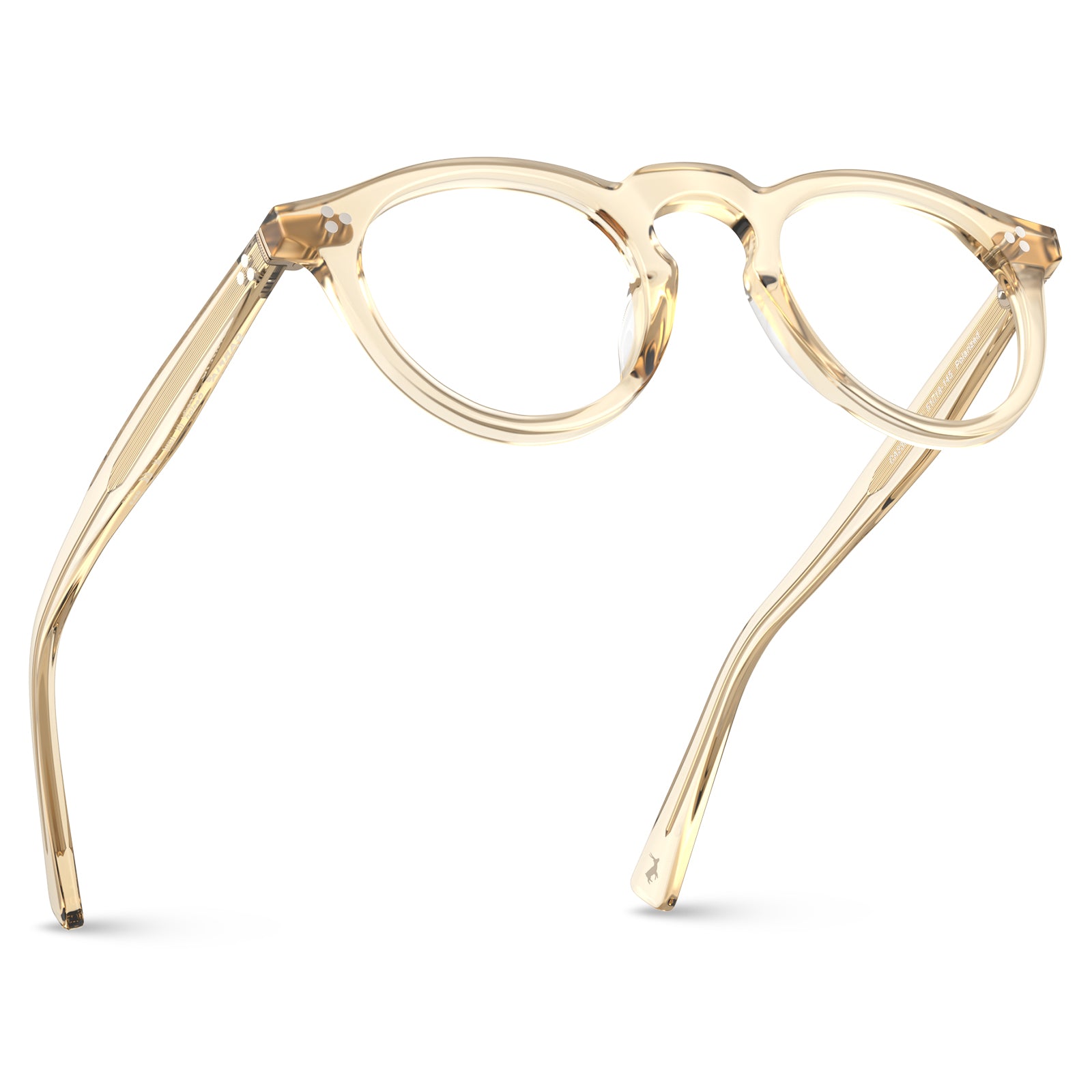  round acetate eyeglasses Mesa CA2306-FC05 with metal rivet details Italian design prescription frames fly
